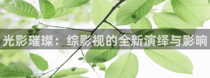 金牌影视电视剧在线观看2024