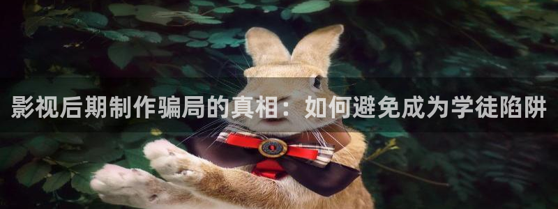 金牌影院免费观看：影视后期制作骗局的真相：如何避免成为学徒陷阱