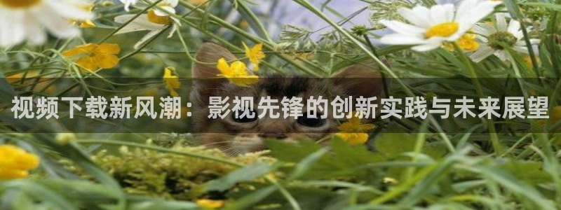 金牌影视官网入口免费观看