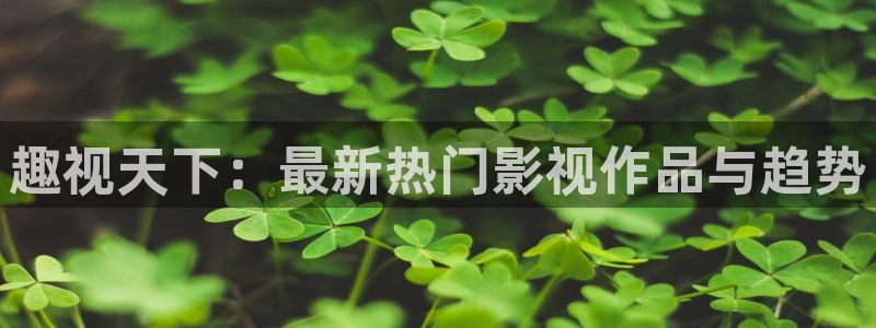 金牌影院正版