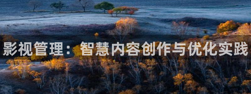 金牌影院下载