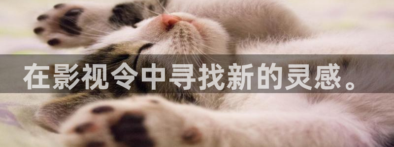 金牌影视下载：在影视令中寻找新的灵感。