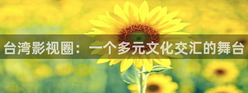 金牌影院影视：台湾影视圈：一个多元文化交汇的舞台