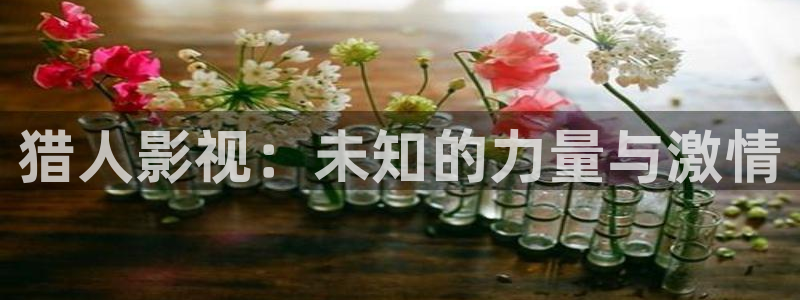 金牌影院免费官网
